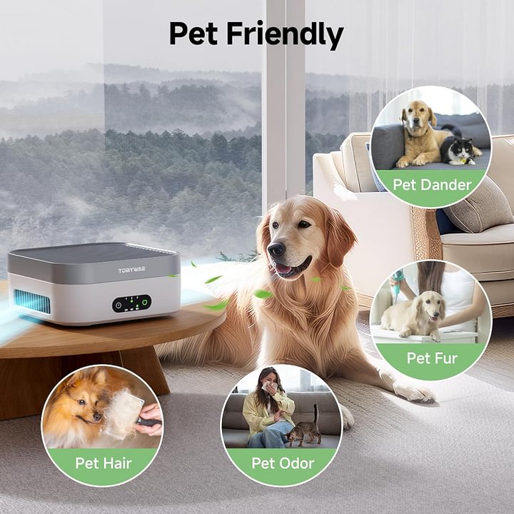 Original Filter Replacement for Air Purifier MB-032, H13 True HEPA Air Cleaner Filter, 1 Piece